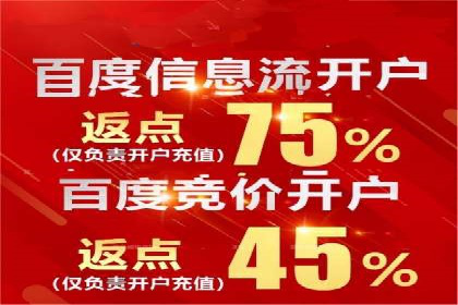 深度解析：百度推广代理的运营策略与效果
